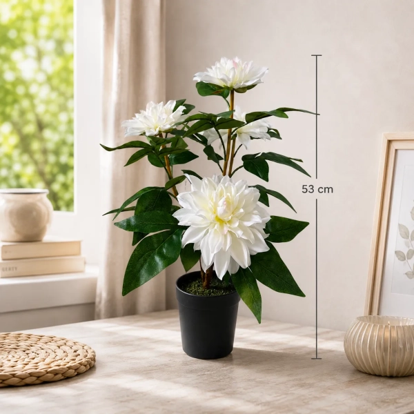 DALIA W DONICZCE 53CM
